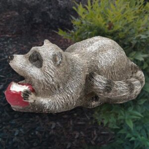 Raccoon with Apple