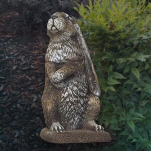 Standing Flop-Eared Rabbit