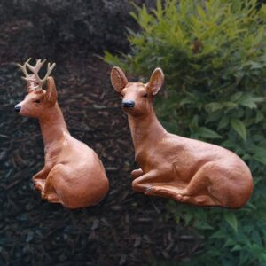 Laying Doe & Buck