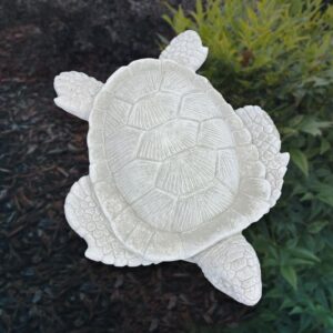Sea Turtle